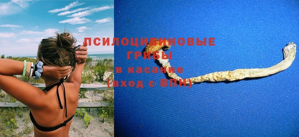 тгк Нея