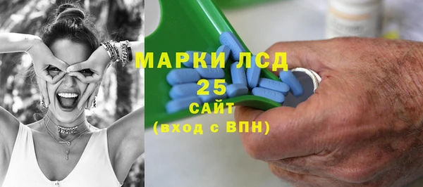 гашик Нефтекумск