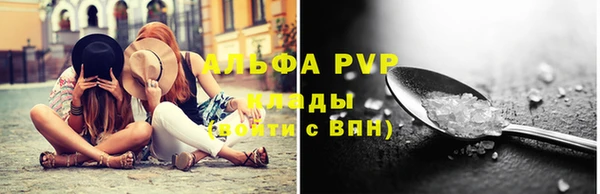 тгк Нея