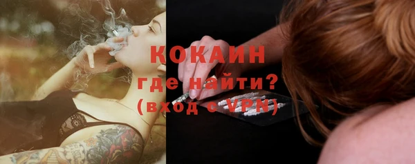 тгк Нея