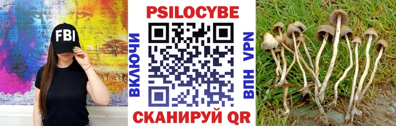 цена наркотик  Острогожск  Псилоцибиновые грибы GOLDEN TEACHER 