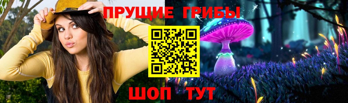 Псилоцибиновые грибы ЛСД  Вход с VPN  Псилоцибиновые грибы Cubensis  что такое   Острогожск 